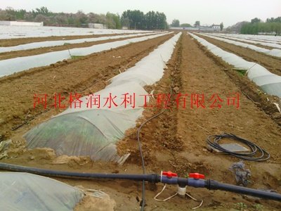 苍溪县永宁大田灌水管设备|紊流效能