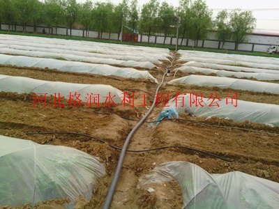 苍溪县永宁灌溉黑管PE管材耐磨