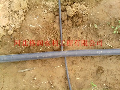 苍溪县三川大田梨树滴灌管价格|滴灌管批发