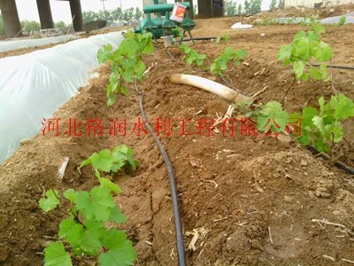 大田苍溪县三川滴管管配套设施齐全