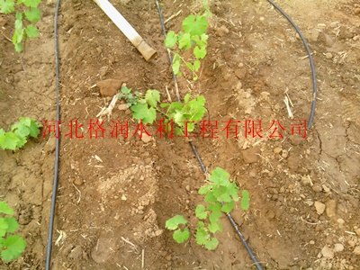 苍溪县三川大田压力滴灌管商|滴灌管供应