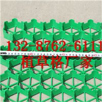 优质植草格-长春植草格|欢迎您