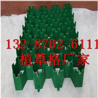 优质植草格-通化植草格|欢迎您
