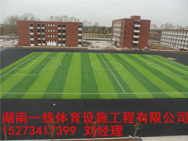 株洲人造草皮材料厂家报价湖南一线体育设施工程有限公司