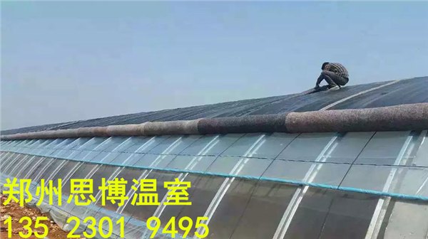 临汾冬暖日光温室大棚建造厂家，日光温室大棚造价