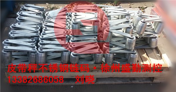 皮带秤碳钢链码+LM皮带秤链码+不锈钢链码+LM30kg LM40kg