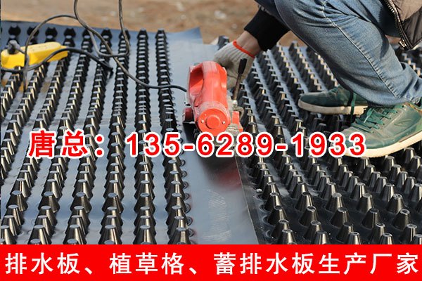 北京凹凸型塑料排水板厂商