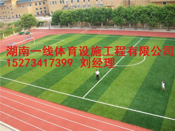 怀化人造草坪足球场翻新，在哪里有卖湖南一线体育设施工程有限公司