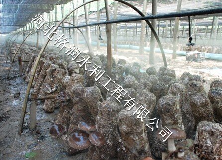 低廉大棚吊悬蘑菇雾化PE青川县木鱼微喷头