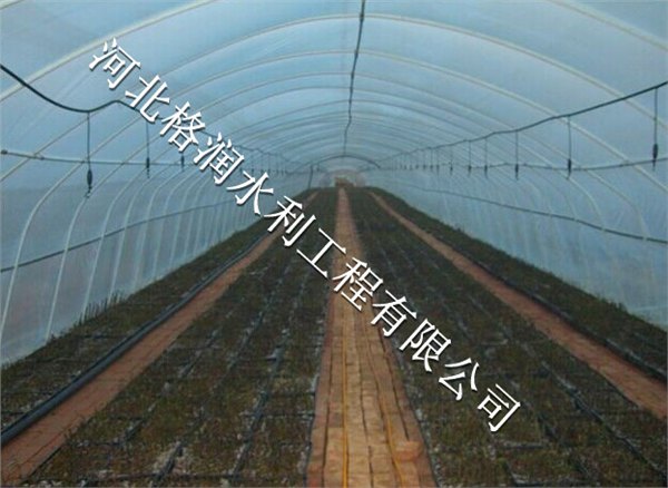 优质顶上式微喷头批发|青川县木鱼大棚