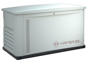 15千瓦多燃料发电机