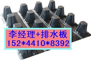 楼顶绿化排水板厂家质量好3公分蓄排水板价格