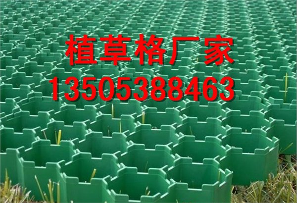 消防通道植草格/绿化植草格/直销