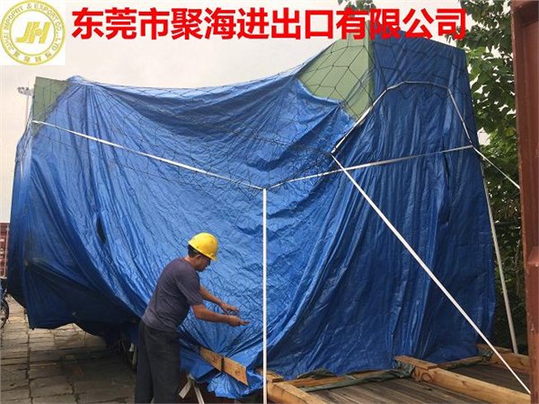 代理货物深圳出口瑞典FORM E原产地证