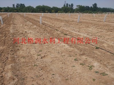 供应滴灌带价格|乌兰察布供应价格