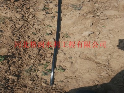 大田滴灌|乌兰察布贴片滴灌带