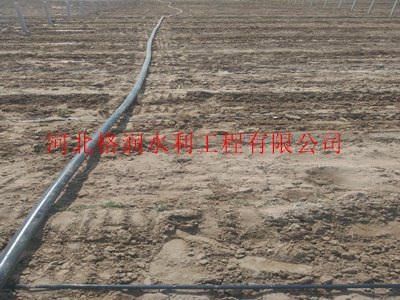 迷宫式|乌兰察布滴管带报价
