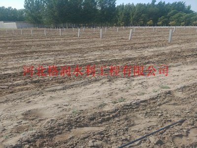 性价比的滴灌产品|乌兰察布滴水带