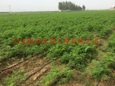乌兰察布大田膜下滴灌PE管