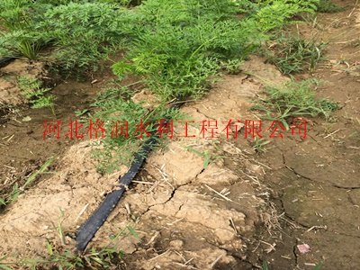 灌溉工具价格乌兰察布滴灌带