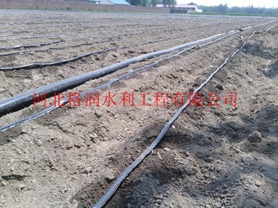 供应内蒙古乌兰察布滴灌带厂家