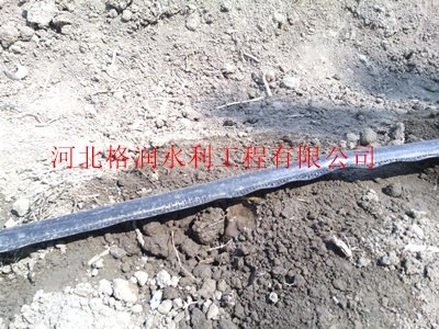 滴灌带节水性|乌兰察布塑料滴水带