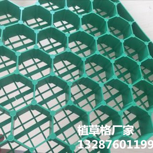 北京植草格+型号齐全