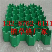 优质植草格-鹤壁植草格|欢迎您