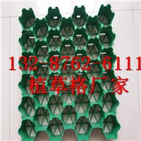 优质植草格-信阳植草格|欢迎您