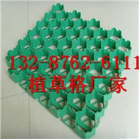优质植草格-周口植草格|欢迎您