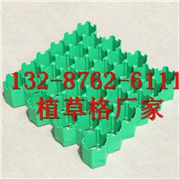 优质植草格-唐山植草格|欢迎您