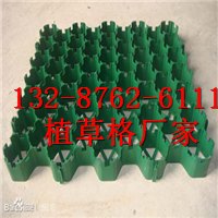 优质植草格-秦皇岛植草格|欢迎您