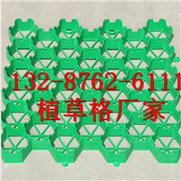 优质植草格-邯郸植草格|欢迎您