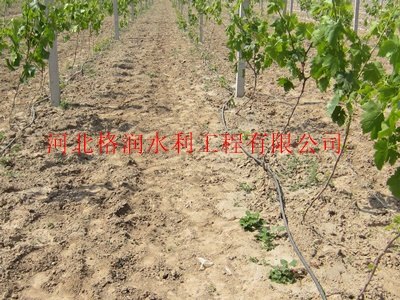 滴灌黑管价格|蓬安县利溪灌溉管规格