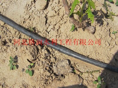 排灌机械价格|蓬安县利溪滴水软管