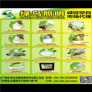 绿鸟照明低压防水球泡飞碟灯大量供应