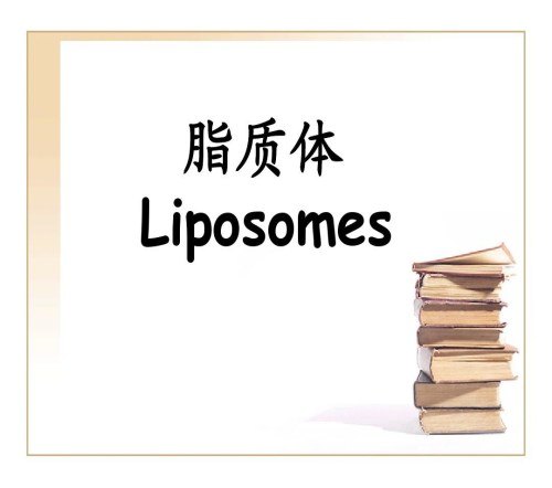 美国原装进口Invitrogen脂质体2000说明书/上海I