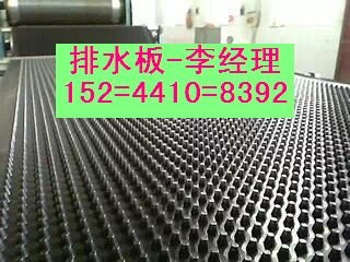 车库绿化排水板施工