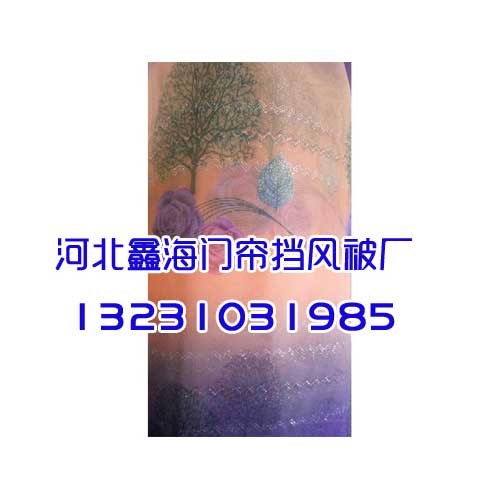 河北磁铁门帘-河北鑫海门帘厂-质量好怪我咯
