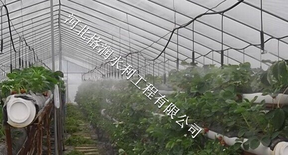 彭山区观音360全圆喷洒|微喷头