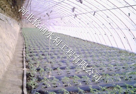 喷灌系统|供应彭山区彭溪微喷头厂家