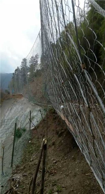 包山钢丝绳网厂家环形钢丝绳网批发商