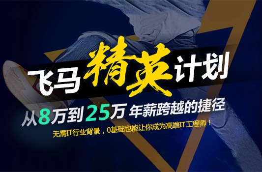 飞马训练营大数据/Java/可视化培训-2月6日正式开课