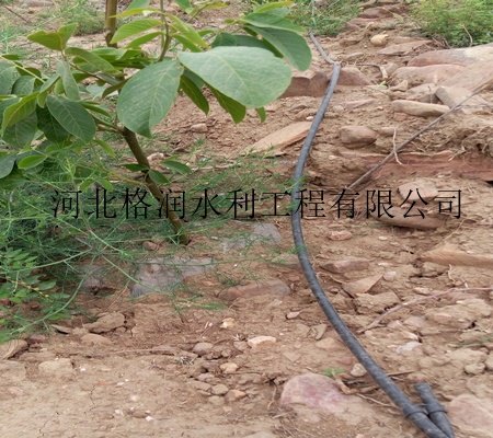 果树滴灌管|仁寿县汪洋供应设备批发价格