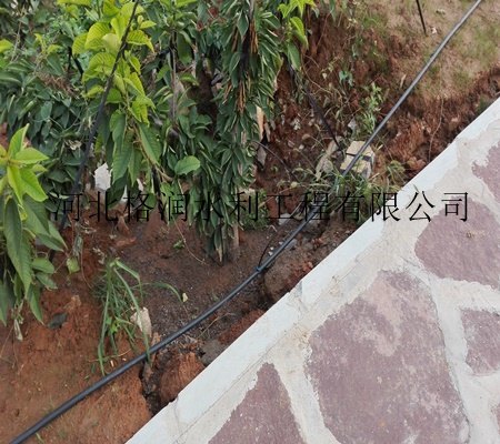 石榴水肥一体化|仁寿县钟祥果树滴管
