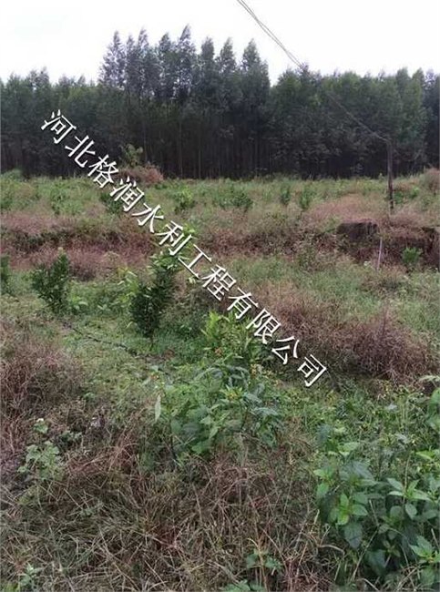 仁寿县钟祥小管出流厂家直销价格