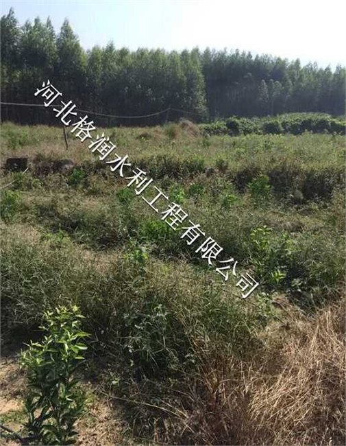 仁寿县钟祥小管出流设备-滴灌PE管
