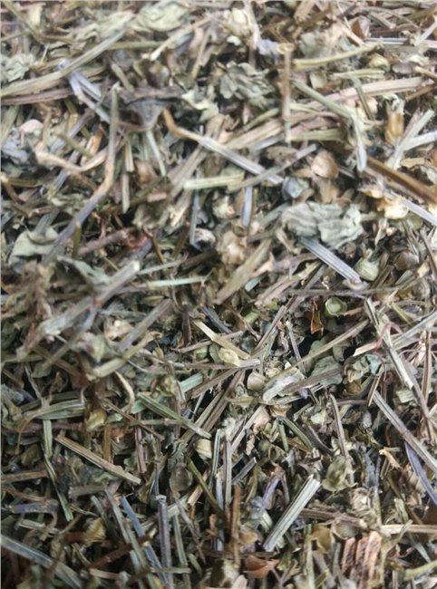 厂家现货供应半枝莲提取物