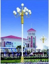中华灯价格锦州中华灯批发价格