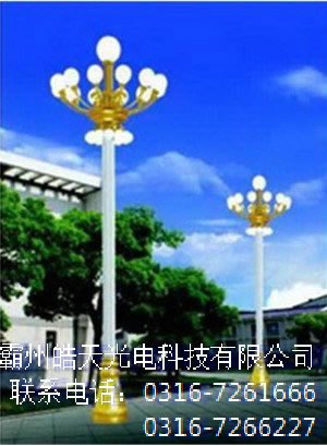 中华灯价格铁岭中华灯批发价格